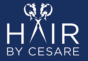 Hair By Cesare, Inc.